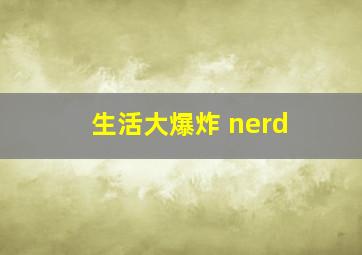 生活大爆炸 nerd